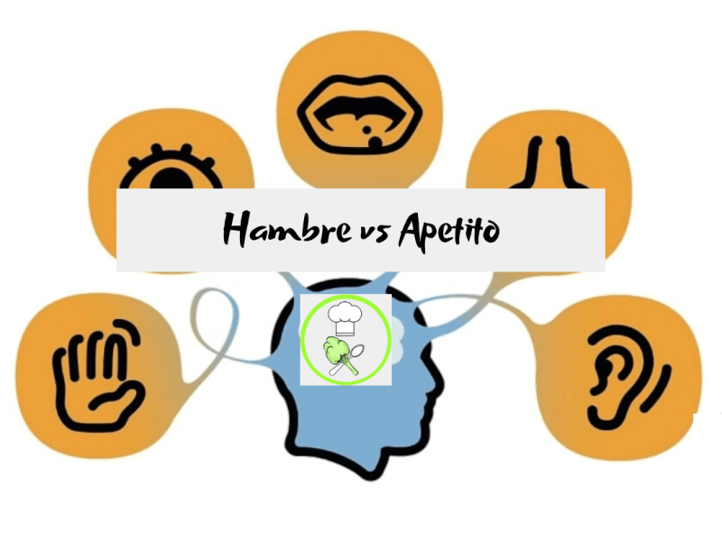 LOS SENTIDOS Y LOS&nbsp;ALIMENTOS